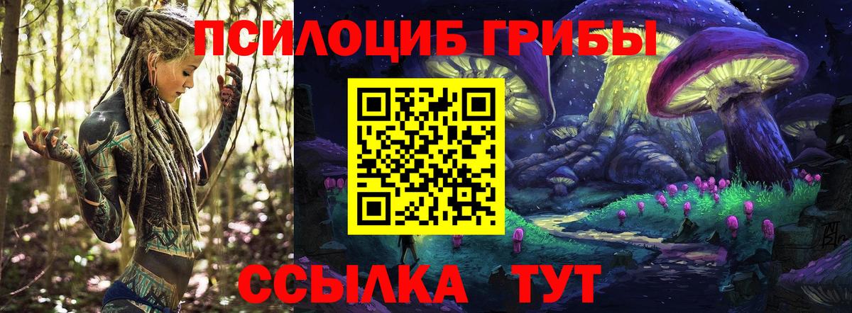 Галлюциногенные грибы Psilocybine cubensis Ангарск