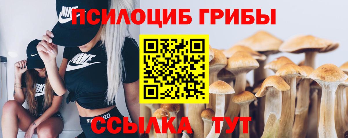 Ангарск  Псилоцибиновые грибы Psilocybe  Вход с VPN 